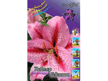 40,8���. ����� ������ �����(��� 5 ��. ���������� �� 2��.).jpg