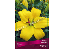 ����� �������.jpg