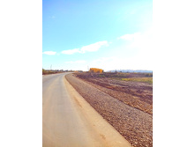 IMG 20161023 113239.jpg