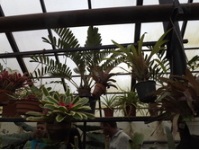 DSCF8148.JPG