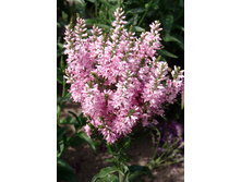 140,5���. �������� ���� ����(�������� ���� �� 1 ��., ����������� ����� 1��.).jpg