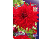 83,5���. �������� �������(�������� ���� �� 1 ��., ����������� ����� 1��.).jpg