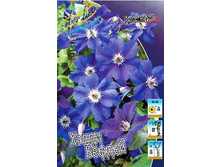 251,9���. �������� ����� �����(�������� ���� �� 2 ��., ����������� ����� 1��.).jpg