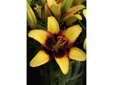 25,66���. ����� �������(��� 7 ��. ���������� �� 2��.).jpg