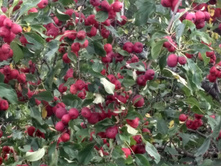 IMG 20160820 135140 HDR.jpg