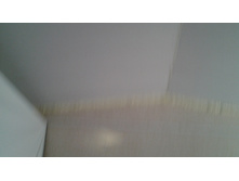20161025 100303.jpg