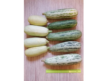 ������� � ������ (�������)