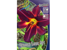 124,7���. �������� ������ ���� ���(�������� ���� �� 1 ��., ����������� ����� 1��.).jpg