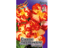 48,93���. ������� ������ ��������� ������-�������.jpg