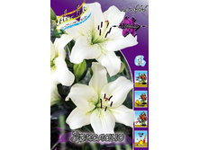 18,4���. ����� ��������(��� 7 ��. ���������� �� 2��.).jpg