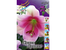 32,36���. ����� ����� ������(��� 5 ��. ���������� �� 2��.).jpg