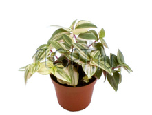 ������������ ����������� 7�10. 78,75 ���.jpg