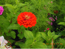 DSCN2135.JPG