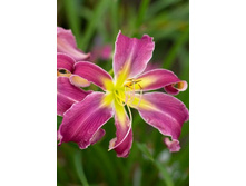 219,5���. �������� ������� �������(�������� ���� �� 1 ��., ����������� ����� 1��.)���16.jpg