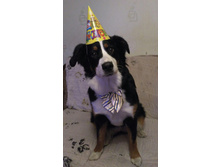 IMG 20161026 191310.jpg