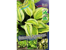 156,3���. ����� �������� ��������(�������� ���� �� 1 ��., ����������� ����� 1��.).jpg