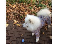 ������ 1.JPG