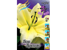 41,66���. ����� ��� ������(��� 5 ��. ���������� �� 2��.).jpg