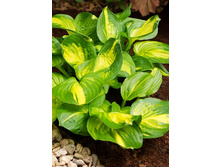 187,9���. ����� �������� �������(�������� ���� �� 1 ��., ����������� ����� 1��.).jpg