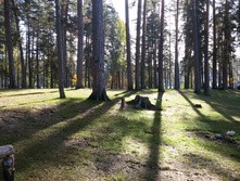 20161002 095932.jpg