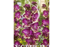 13,2���. ��������� ����� ����(���������� �� ����� �������� �� 7��.)���17.jpg