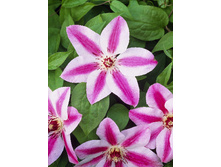 136,6���. �������� ������(�������� ���� �� 2 ��., ����������� ����� 1��.).jpg