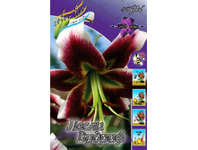 40,8���. ����� ����� ������(��� 5 ��. ���������� �� 2��.).jpg