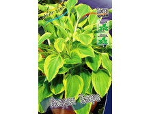 62,35���. ����� ������ �����(�������� ���� �� 2 ��., ����������� ����� 1��.).jpg