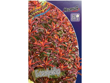 187,9���. ������� �������(�������� ���� �� 1 ��., ����������� ����� 1��.).jpg