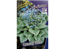 142,1���. �������� ������� �����(�������� ���� �� 1 ��., ����������� ����� 1��.).jpg