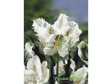 ������� ����� ������ 136 ���. ��. (� ��� 5 ��.) �������� � ���� � ���������. ����� ����������� ��������. ������ 1 ��� 2 �������� ��� �����.png