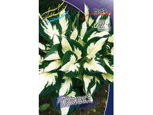 180���. ����� �������(�������� ���� �� 1 ��., ����������� ����� 1��.).jpg