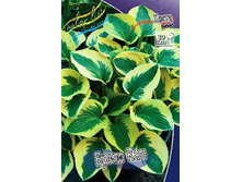 93,1���. ����� ���� ���(�������� ���� �� 1 ��., ����������� ����� 1��.).jpg