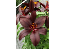 25,66���. ����� �������(��� 7 ��. ���������� �� 2��.).jpg