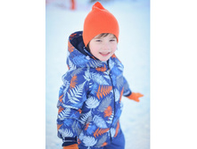 �� 36008�3.jpg