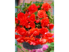 46,22���. ������� ������ ������� ���������(��� 5 ��. ���������� �� 2��.).jpg