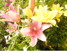 DSCN1532.JPG