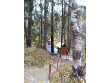 IMG 20161016 104532.jpg