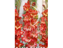 13,2���. ��������� ��� ���(���������� �� ����� �������� �� 7��.)���17.jpg