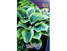 153,2���. ����� ��������(�������� ���� �� 1 ��., ����������� ����� 1��.).jpg