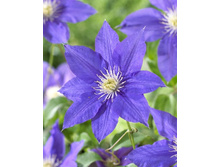 136,6���. �������� �.�.���(�������� ���� �� 2 ��., ����������� ����� 1��.).jpg