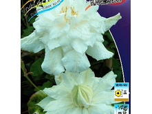 185���. �������� ������� �����.jpg