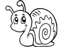 Image937.png