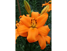 20,26���. ����� �������(��� 7 ��. ���������� �� 2��.)���16.jpg