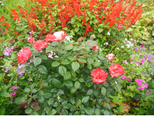 DSCN2183.JPG