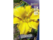 70,25���. �������� �������(�������� ���� �� 2 ��., ����������� ����� 1��.).jpg