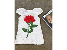 ������ �������� 507