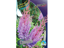 60,8���. �������� �������(�������� ���� �� 2 ��., ����������� ����� 1��.).jpg