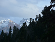 DSC 7509.JPG