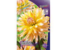 83,5���. �������� ������(�������� ���� �� 1 ��., ����������� ����� 1��.).jpg